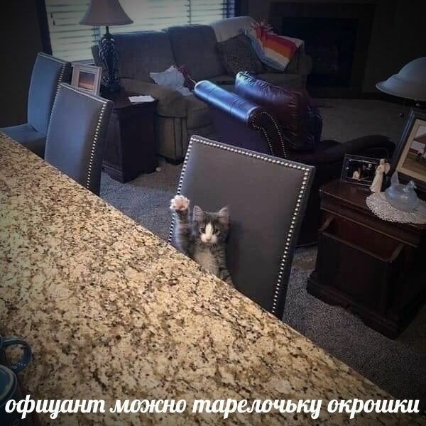 офицант можно тарелочьку окрошки
