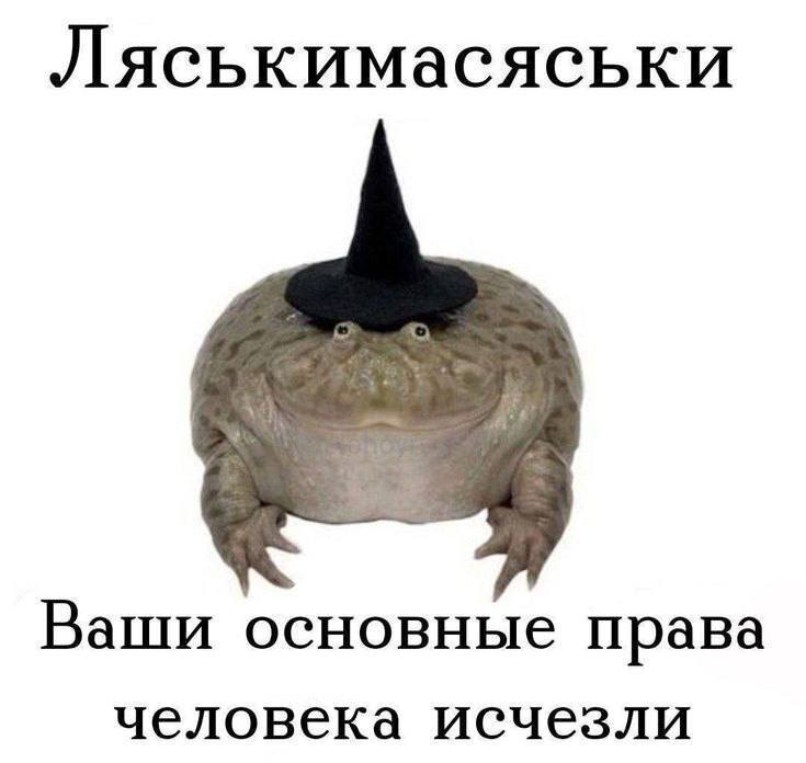 Ляськимасяськи Ваши основные права человека исчезли