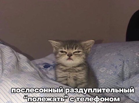 лесонный раздуплительный ‘полежать’ стелефоном