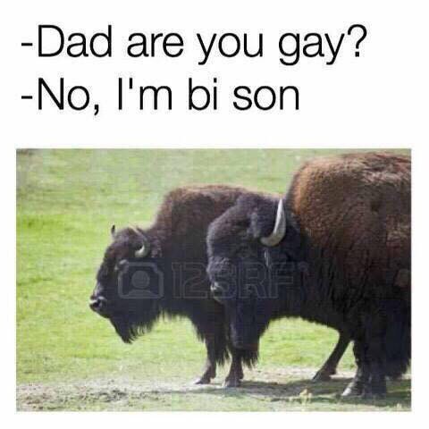 -Dad are you gay? -No, son