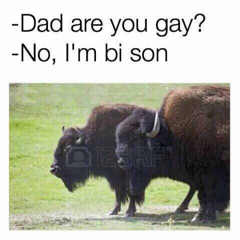 -Dad are you gay? -No, son