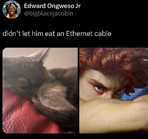 Edward Ongweso didn’t let him eat an Ethernet cable