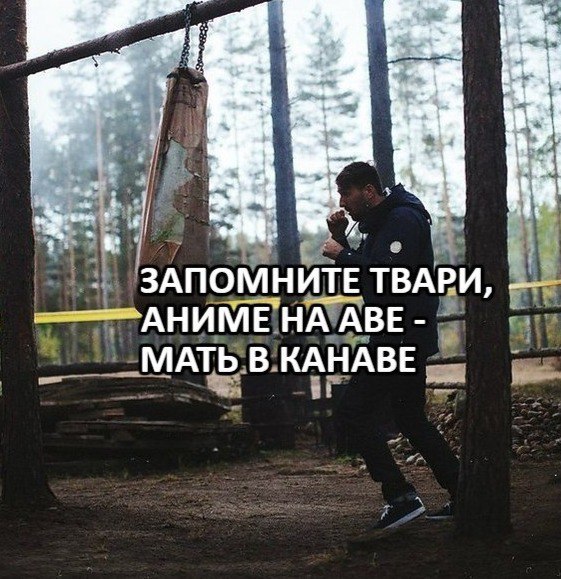 ЗАПОМНИТЕ ТВАРИ, НА АВЕ МАТЬ В КАНАВЕ