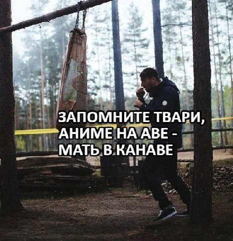 ЗАПОМНИТЕ ТВАРИ, НА АВЕ МАТЬ В КАНАВЕ