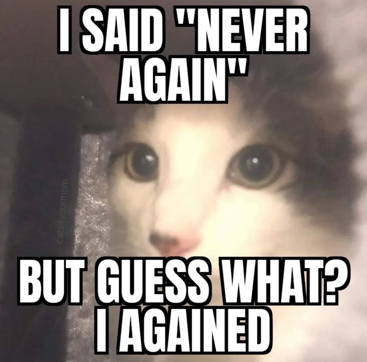 SAID “NEVER BUT: GUESS WHAT?
