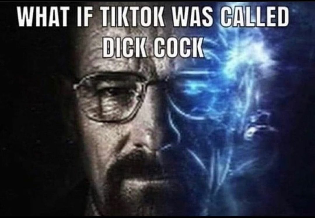 WHAT IF TIKTOK WAS CALLED DICK