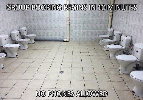 3 7 GROUP? POOPING BEGINS IN у 4 -4 i a a 5 4 у к 6 2 и 4 Vane. ON 4 ON IN и. NO