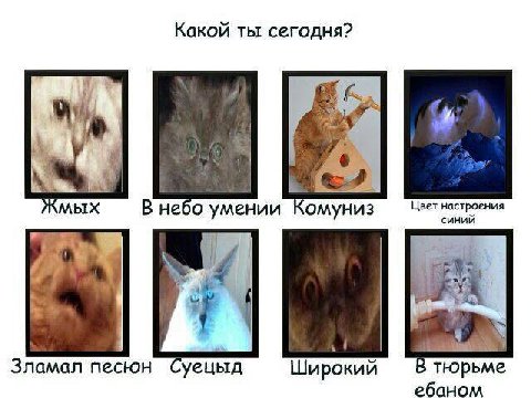 Какой ты сегодня? Жмых В небо умении Комуниз Цвет настроения синии +9 i Зламал песюн Суецыд Широкий В тюрьме ебаном