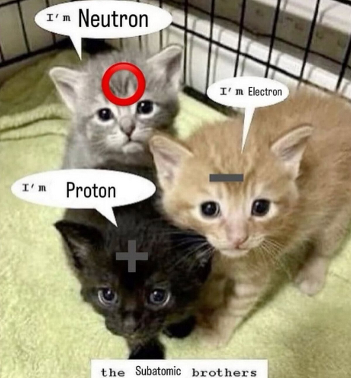 Neutron 2 3 Proton о the Subatomic brothers