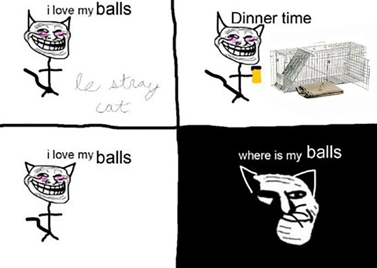 my balls Dinner time love my balls where is my balls
