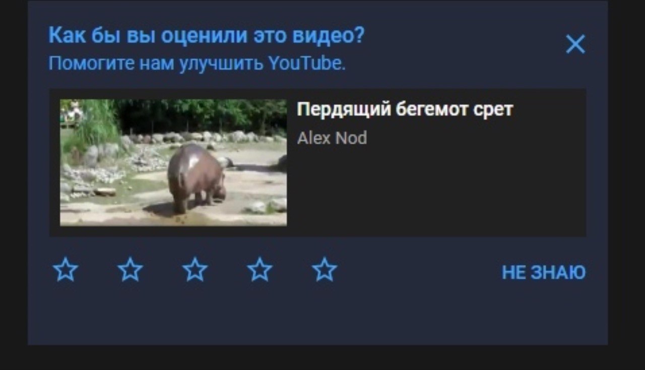 Как бы вы оценили это видео? Помогите нам улучшить YouTube. Пердящий бегемот срет Alex Nod WwW НЕЗНАЮ