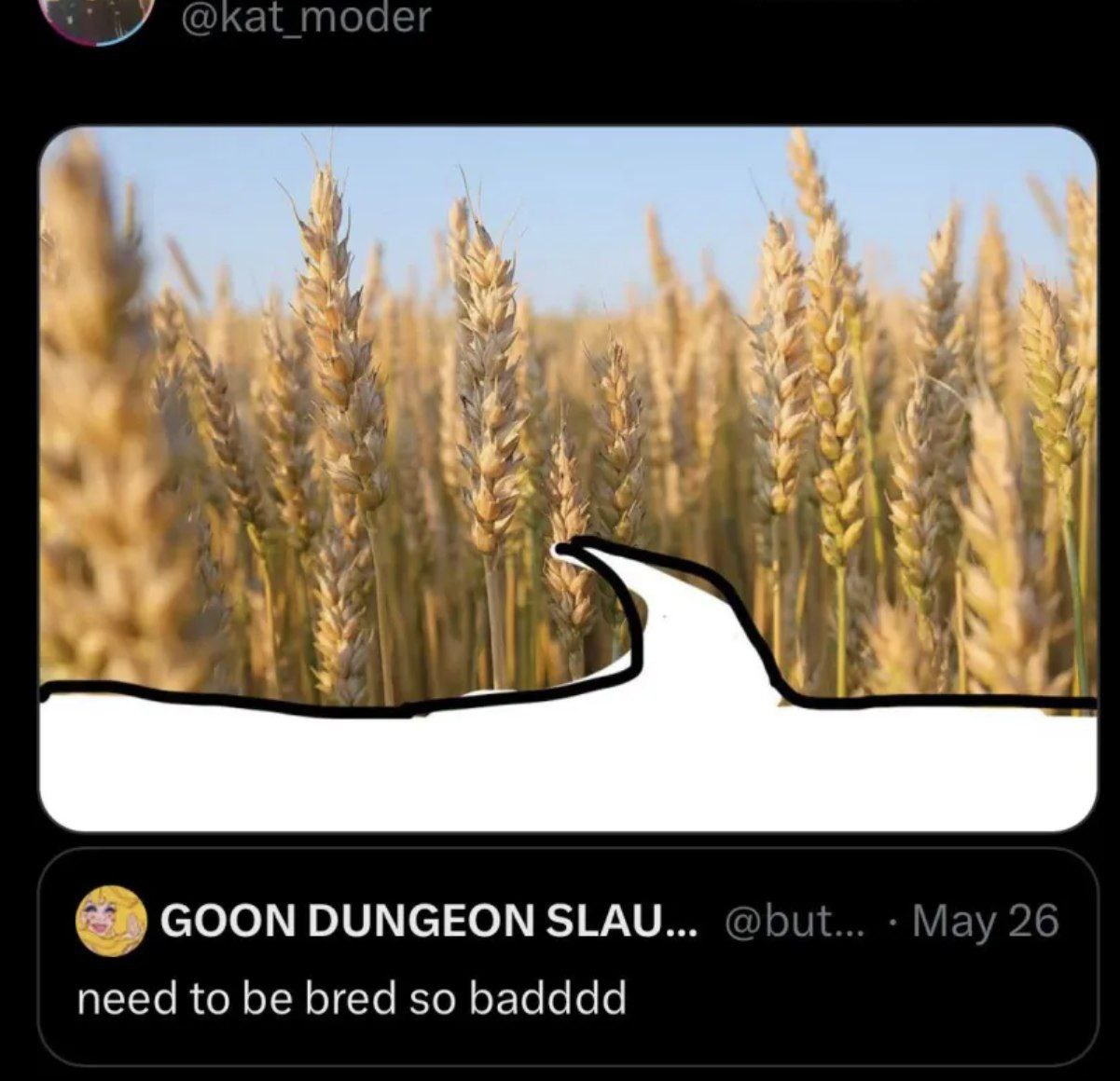 @kat moder у. у у 4 way GOON DUNGEON SLAU... @but... May 26 need to be bred so badddd