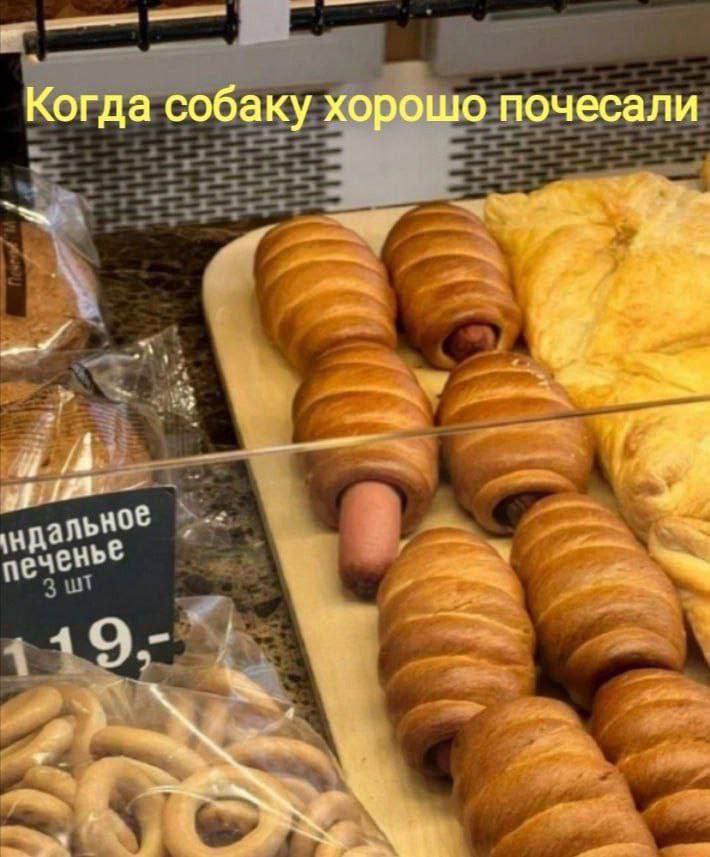 Когда собаку хорошо почесали
