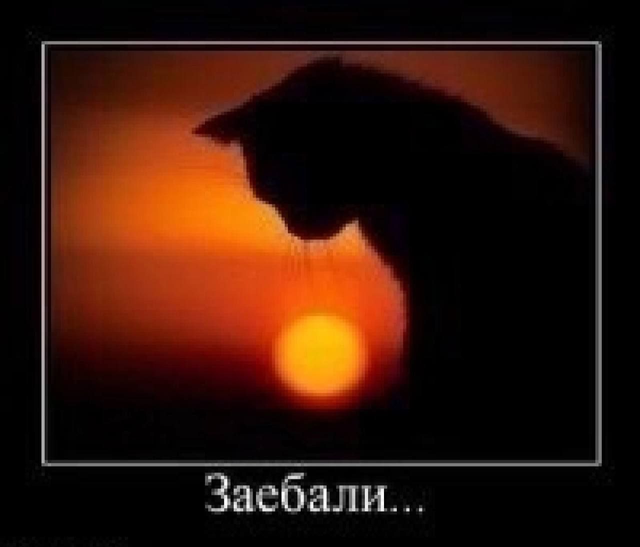 Заебали...