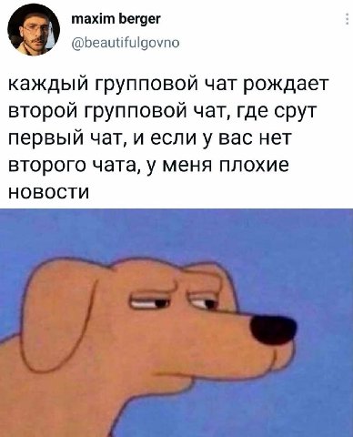 maxim berger @beautifulgovno каждый групповой чат рождает второй групповой чат, где срут первый чат, и если у вас нет второго чата, у меня плохие НОВОСТИ