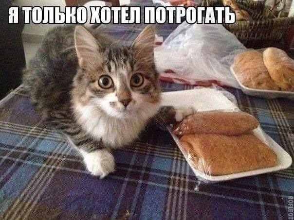 Я ПОТРОГАТЬ