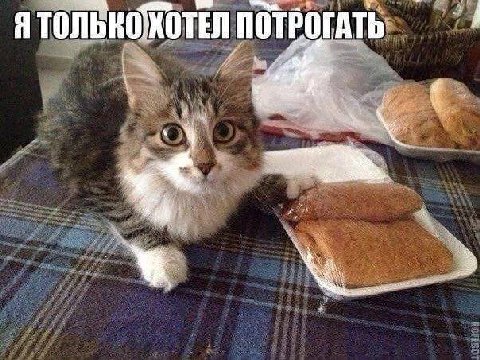 Я ПОТРОГАТЬ