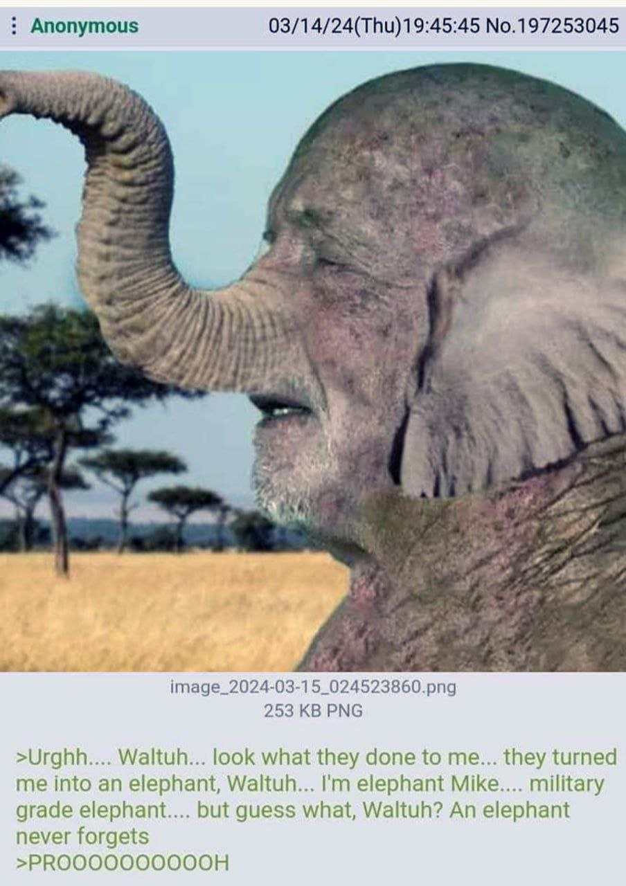 Anonymous 03/14/24(Thu)19:45:45 №.197253045 image_2024-03-15_024523860.png 253 PNG >Urghh.... Waltuh... look what they done to me... they turned me into an elephant, Waltuh... elephant Mike.... milita