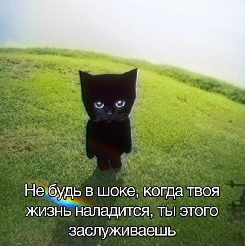 Не будь в шоке, когда твоя жизнь наладится, ты этого заслуживаешь