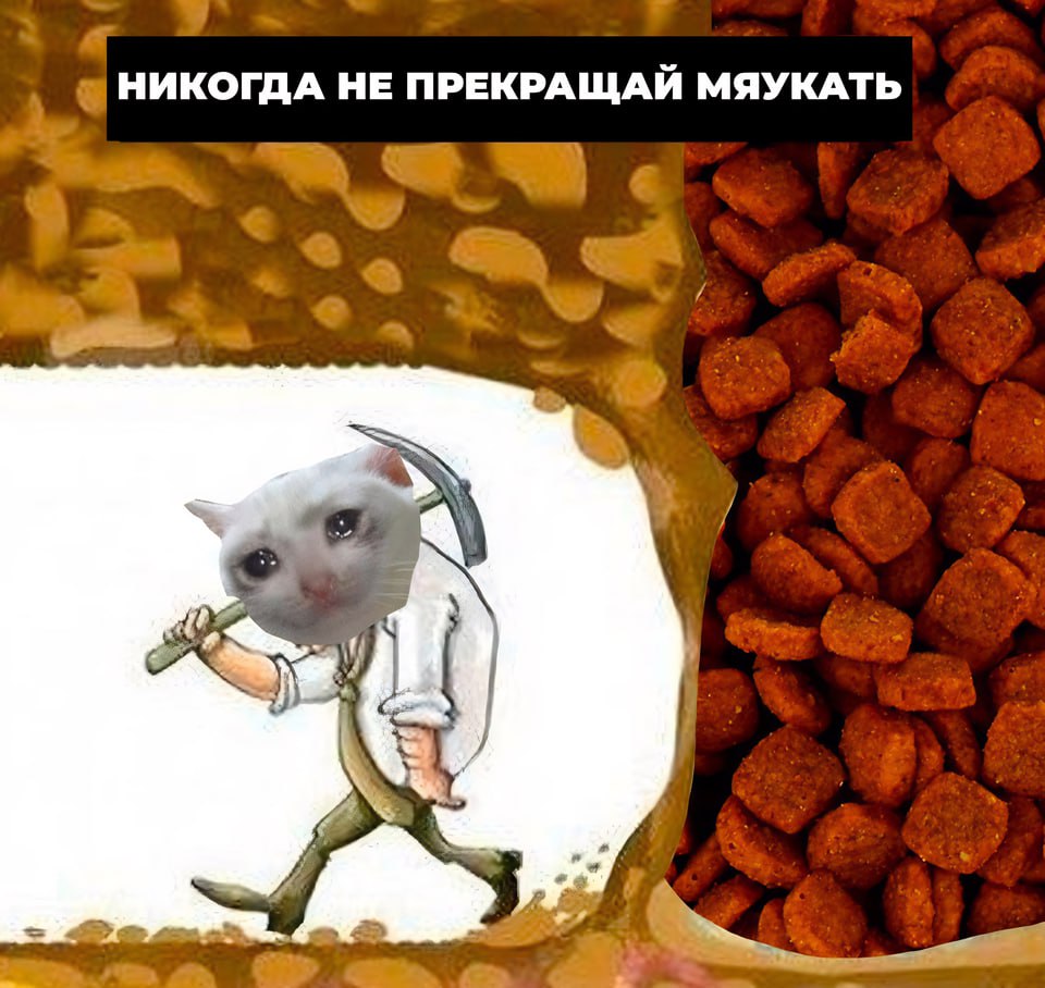 НИКОГДА НЕ ПРЕКРАЩАЙ МЯУКАТЬ