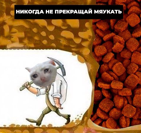 НИКОГДА НЕ ПРЕКРАЩАЙ МЯУКАТЬ