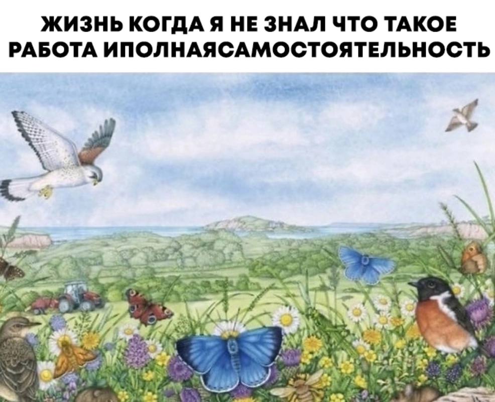 ЖИЗНЬ КОГДА Я НЕ ЗНАЛ ЧТО ТАКОЕ РАБОТА ИПОЛНАЯСАМОСТОЯТЕЛЬНОСТЬ к у: 25“ 4 4 4
