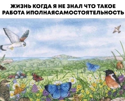 ЖИЗНЬ КОГДА Я НЕ ЗНАЛ ЧТО ТАКОЕ РАБОТА ИПОЛНАЯСАМОСТОЯТЕЛЬНОСТЬ к у: 25“ 4 4 4
