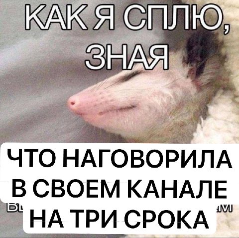 КМК ЧТО НАГОВОРИЛА В СВОЕМ КАНАЛЕ НА СРОКА