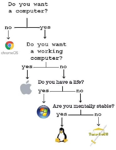 you want a computer? no you want с chromeOS a working computer? yes—_l по you have a life? yes—_l по Are you mentally stable? yes no A