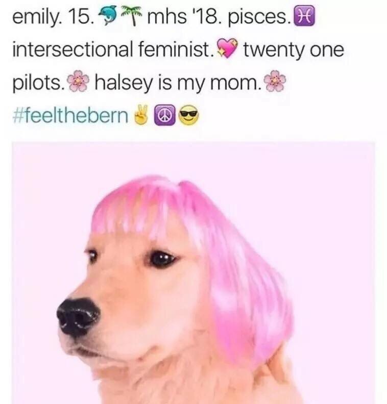 emily. 15.9 mhs '18. pisces. intersectional twenty one halsey is my тот. #feelthebern