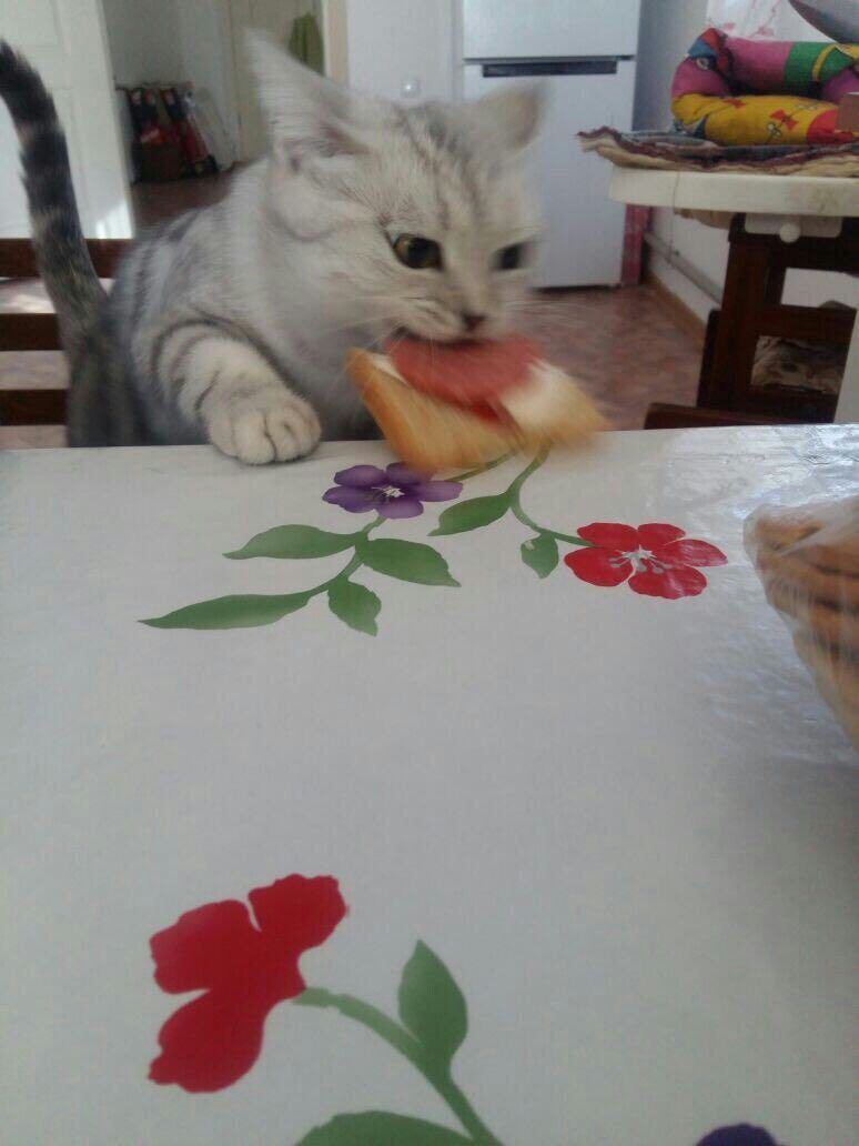 7 А