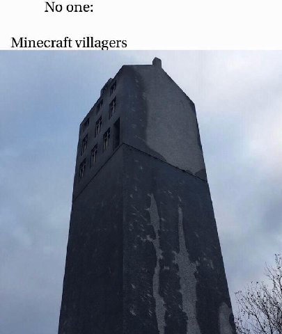 No one: Minecraft villagers