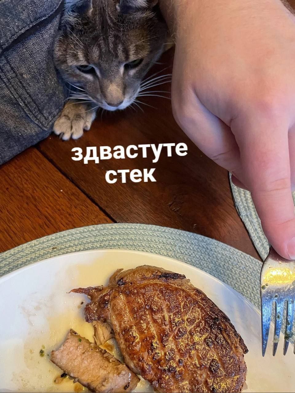 здвастуте стек к