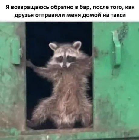 Я возвращаюсь обратно в бар, после того, как друзья отправили меня домой на такси A