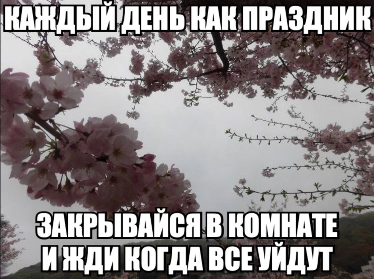 КАК ПРАЗДНИК ins ЗАКРЫВАЙСЯ В КОМНАТЕ И ЖДИ КОГДА ВСЕУЙДУТ