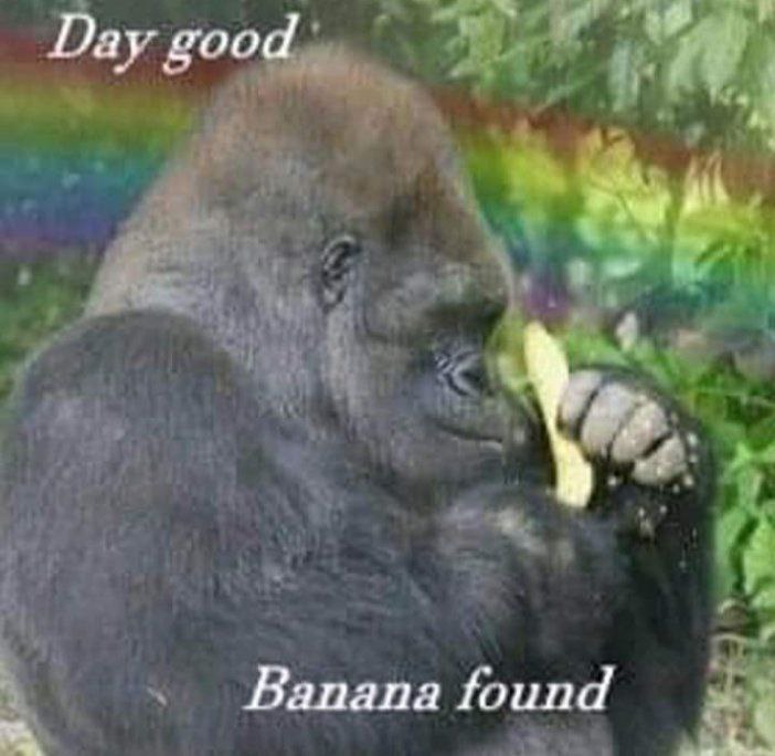Day good Banana found