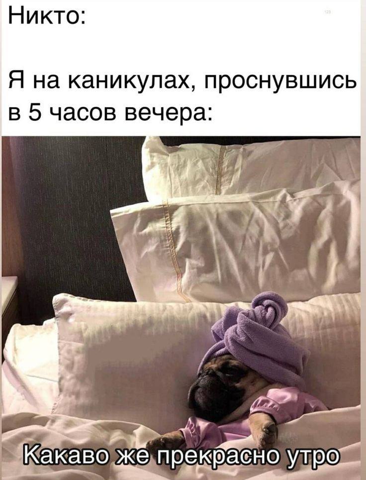 Никто: Я на каникулах, проснувшись в 5 часов вечера: _Какаво же,