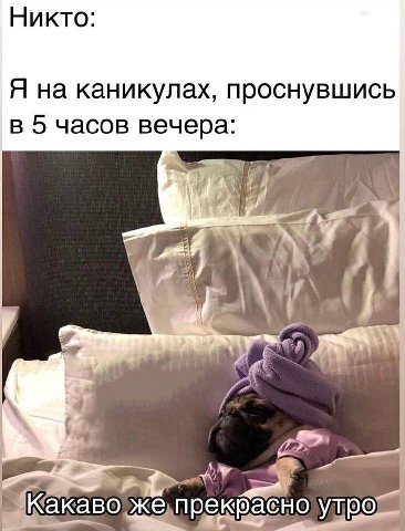 Никто: Я на каникулах, проснувшись в 5 часов вечера: _Какаво же,