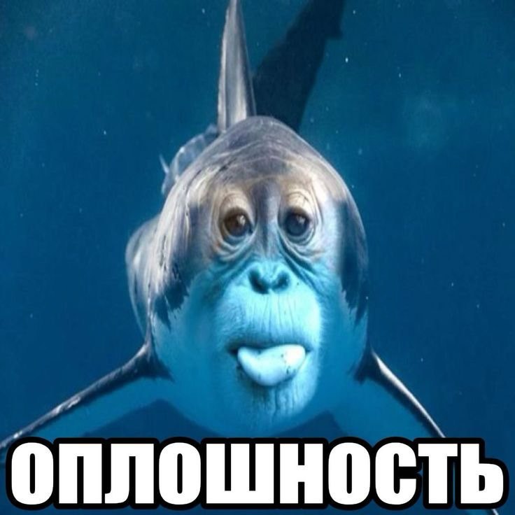 3 оплошность