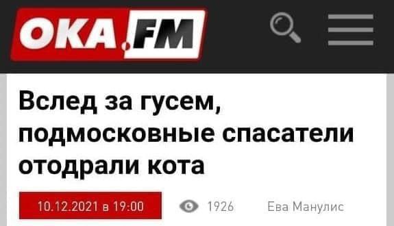 OKA Вслед за гусем, подмосковные спасатели отодрали кота Манулис