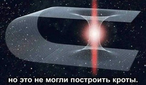 но это не могли построить кроты.