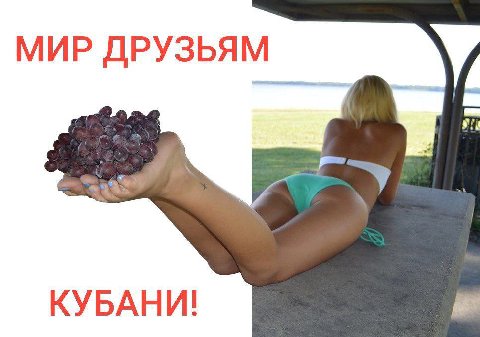 МИР ДРУЗЬЯМ КУБАНИ!
