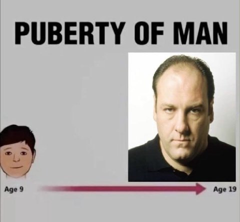 PUBERTY OF MAN