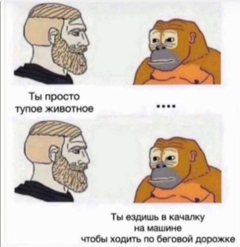 Ты просто тупое животное Ты ездишь в качалку на машине чтобы ходить по беговой дорожке