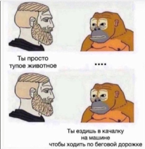 Ты просто тупое животное Ты ездишь в качалку на машине чтобы ходить по беговой дорожке