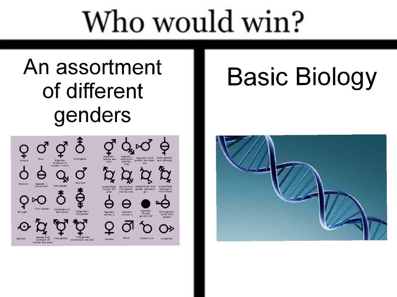 Who would win? An assortment of different Basic Biology genders 908%
