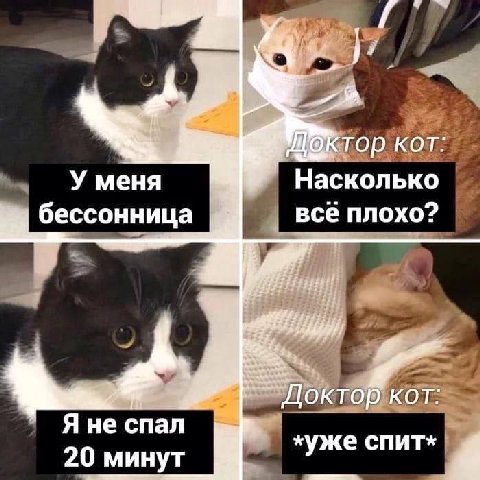 кот: У меня Насколько бессонница всё плохо? 4 Доктор кот: Яне спал в 20 минут