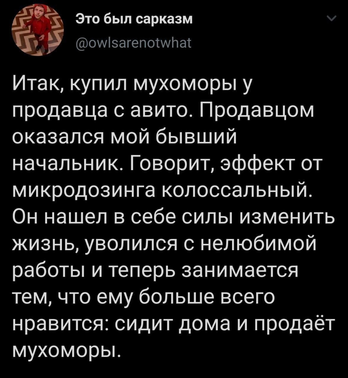 у Это был сарказм @owlsarenotwhat Итак, купил мухоморы у продавца с авито. Продавцом оказался мой бывший начальник. Говорит, эффект от микродозинга колоссальный. Он нашел в себе силы изменить жизнь, у