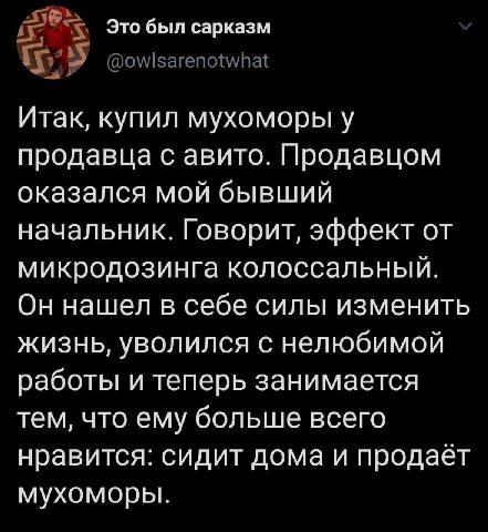 у Это был сарказм @owlsarenotwhat Итак, купил мухоморы у продавца с авито. Продавцом оказался мой бывший начальник. Говорит, эффект от микродозинга колоссальный. Он нашел в себе силы изменить жизнь, у