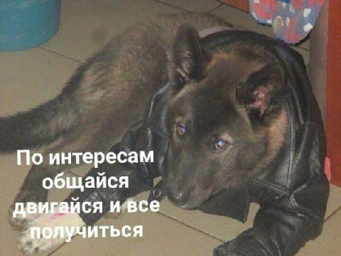 По интересам общайся двигайся и все